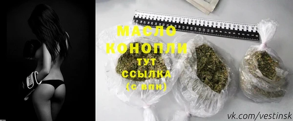 метадон Богданович