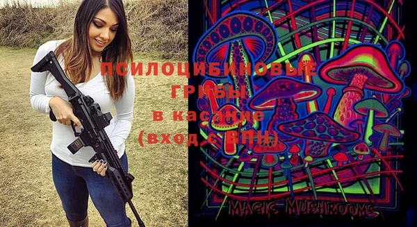 МДПВ Богородицк