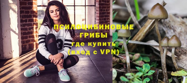 МДПВ Богородицк