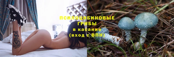 МДПВ Богородицк